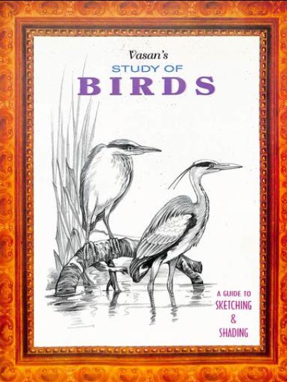 Study Of Birds Guide To Sketching & Shading